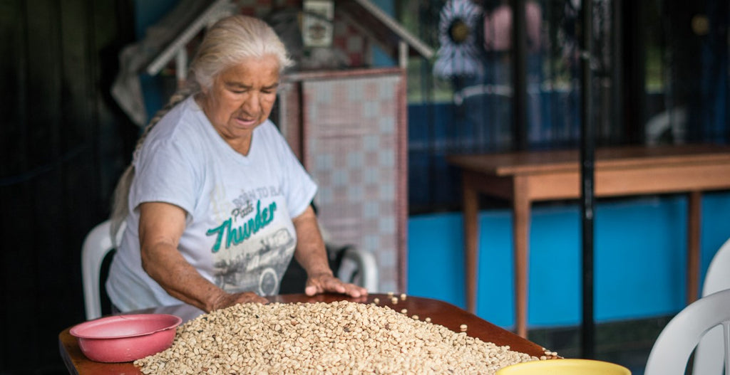 COLOMBIA: Women Coffee Producers of AMACA co-op