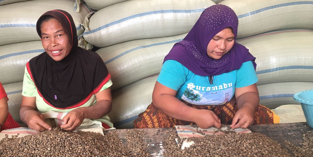 SUMATRA - The women of the Kopepi Ketiara Cooperative make it happen!