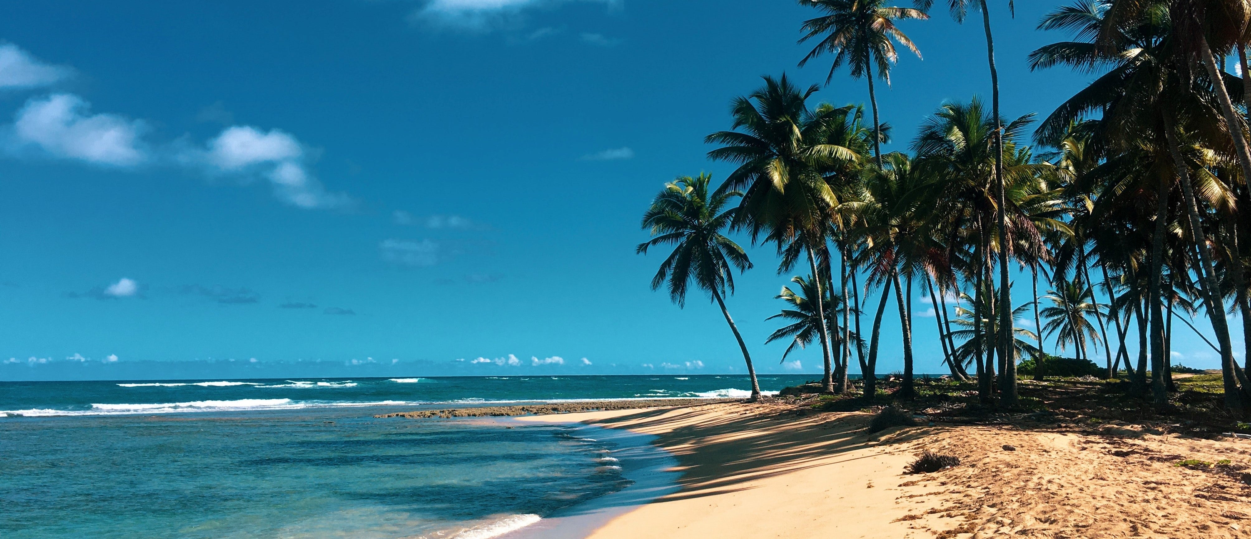 Origin: DOMINICAN REPUBLIC - Christopher Columbus and the "New World"