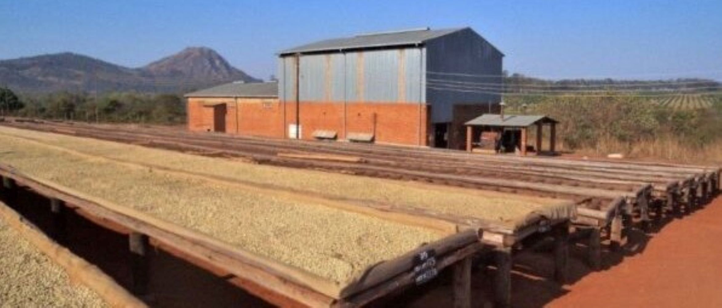 Origin: MALAWI - The warm heart of Africa