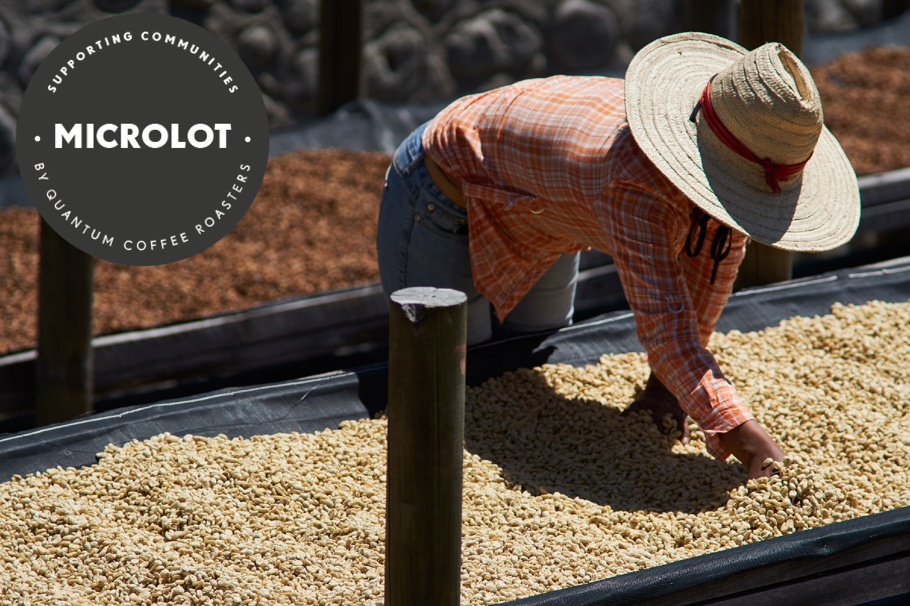 Origin: NICARAGUA Finca Bethania, Nueva Segovia - Microlot Coffee