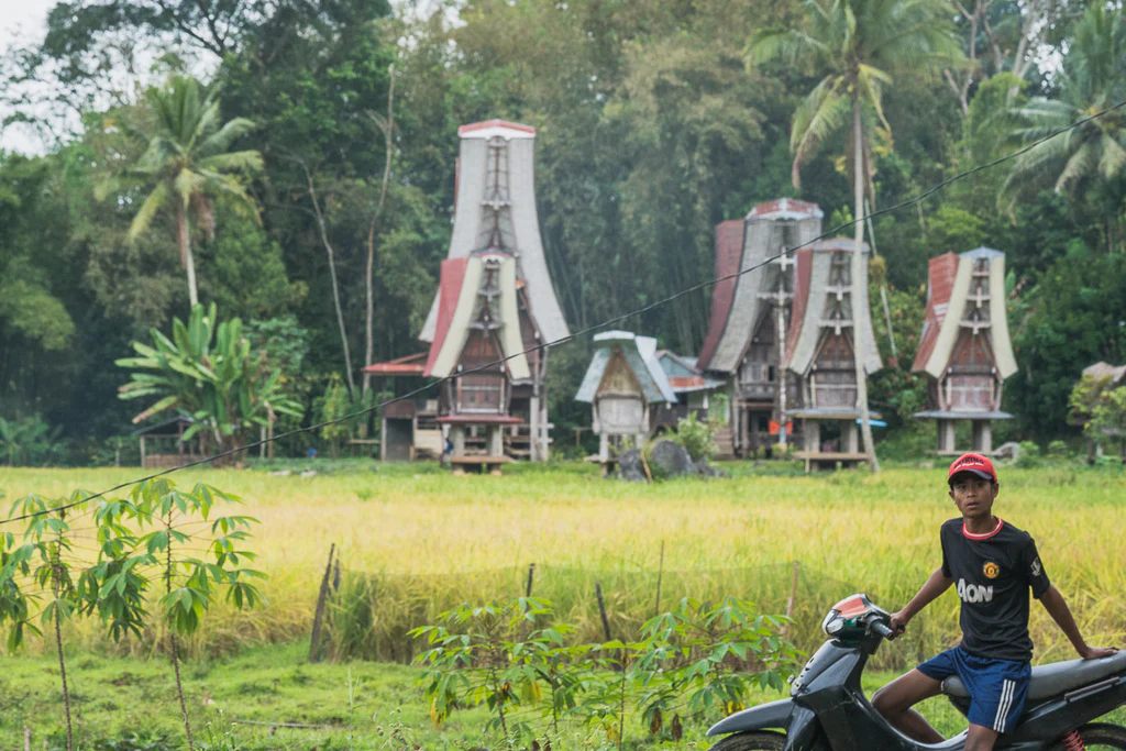 ORIGIN: SULAWESI (Indonesia) - TORAJA