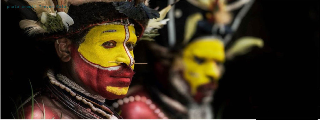Papua New Guinea: a cultural explosion and an undiscovered habitat