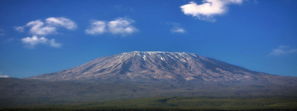 mount kilimanjaro, tanzania, peaberry coffee blog