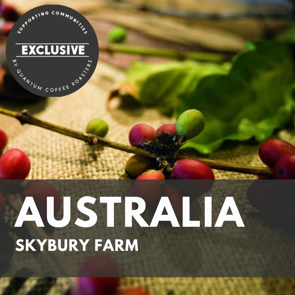 Australia, Skybury coffee