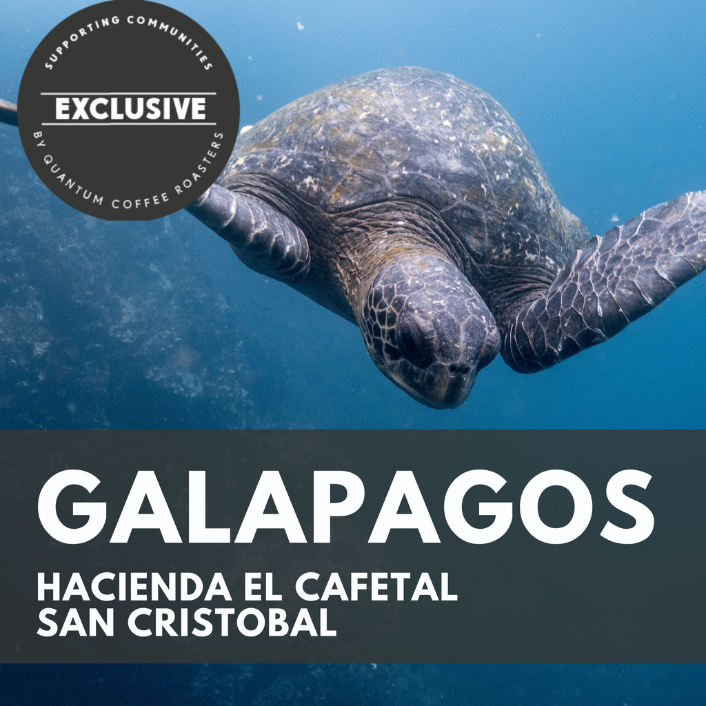 Galapagos, San Cristobal