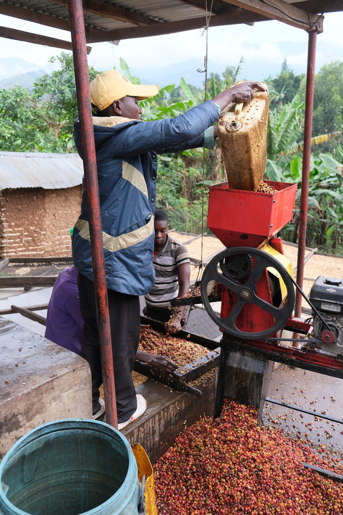 UGANDA, SIPI FALLS, BUGISU