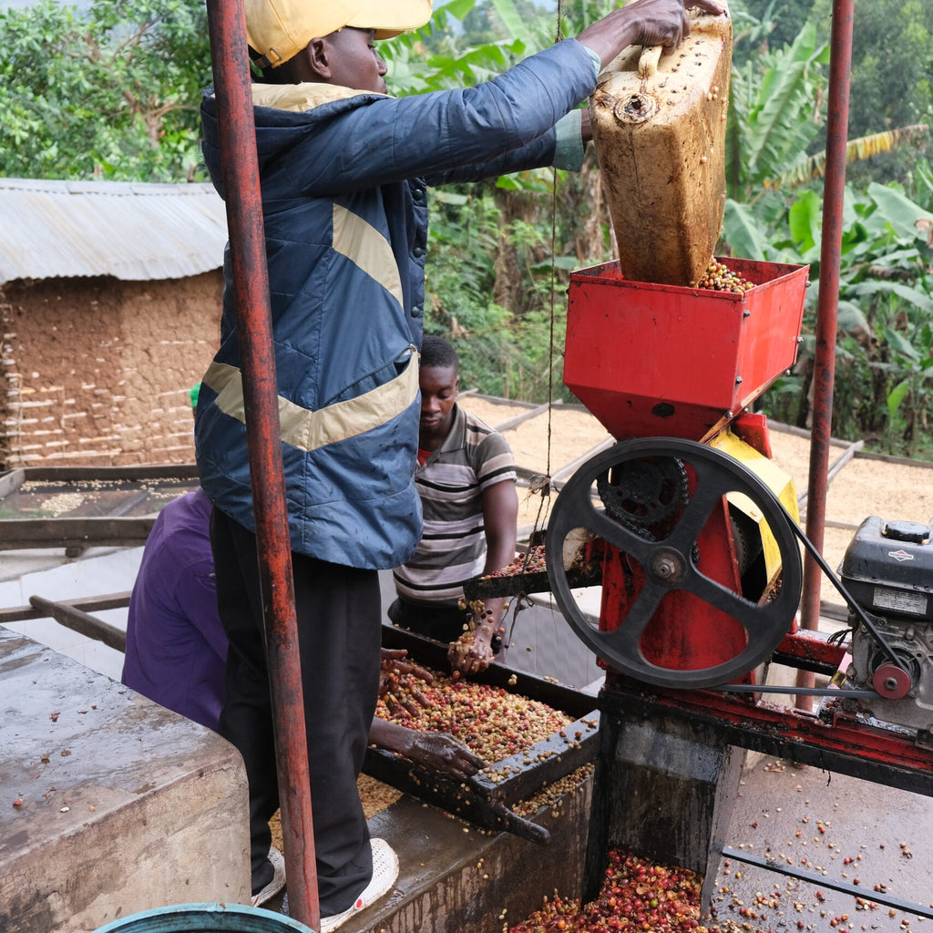 UGANDA, SIPI FALLS, BUGISU