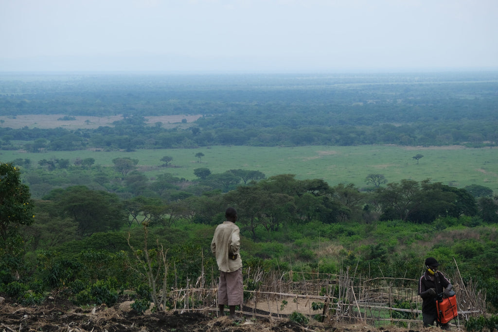 UGANDA, SIPI FALLS, BUGISU