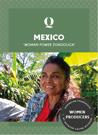 'WOMAN POWER ZONGOLICA' MEXICO