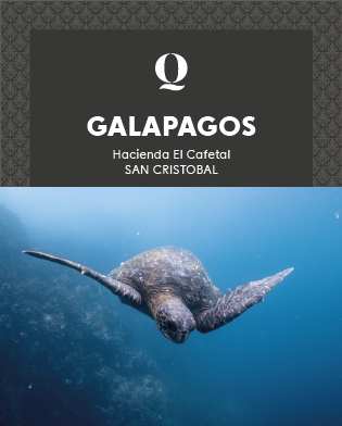 Galapagos, San Cristobal