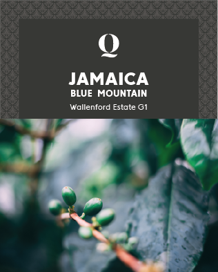 Café C&T Jamaica Blue Mountain Coffee AA Wallenford Estate